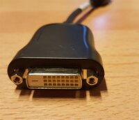 Displayport Adapter Foxconn DP auf DVI-D OEM HP 481409-002